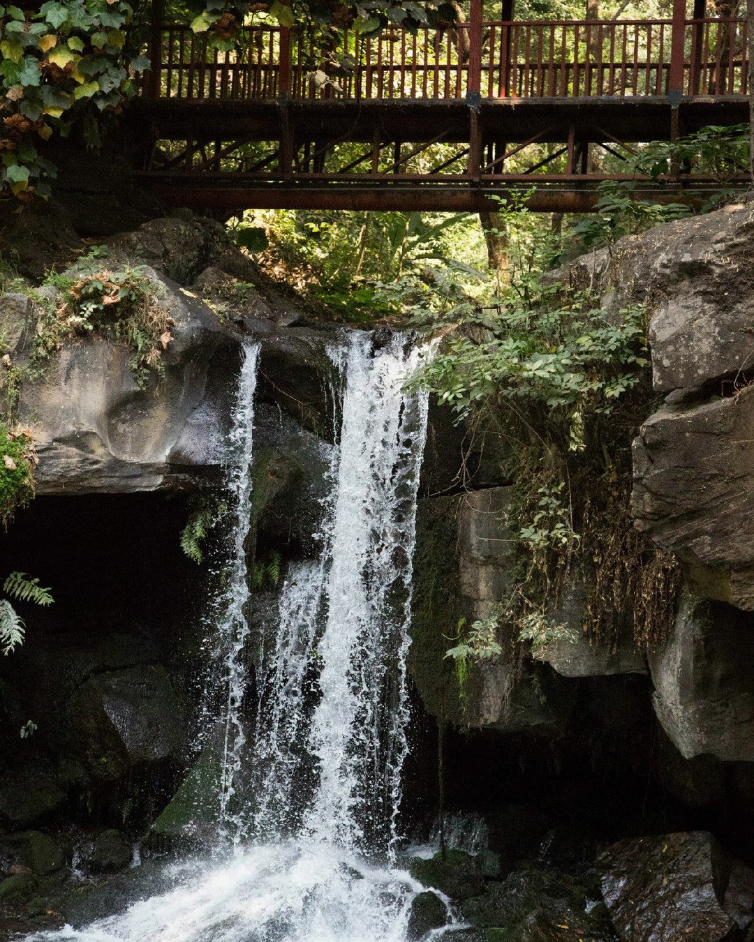 waterfall_mobile_1080x1350