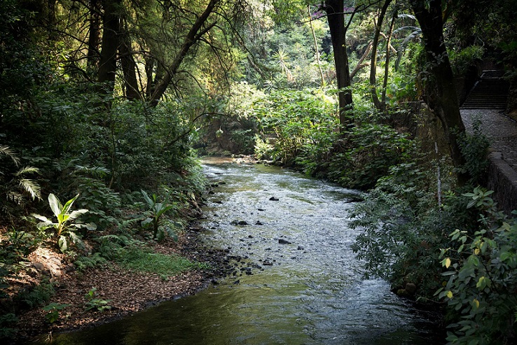 uruapan-michoaca-mexico-parque-nacional
