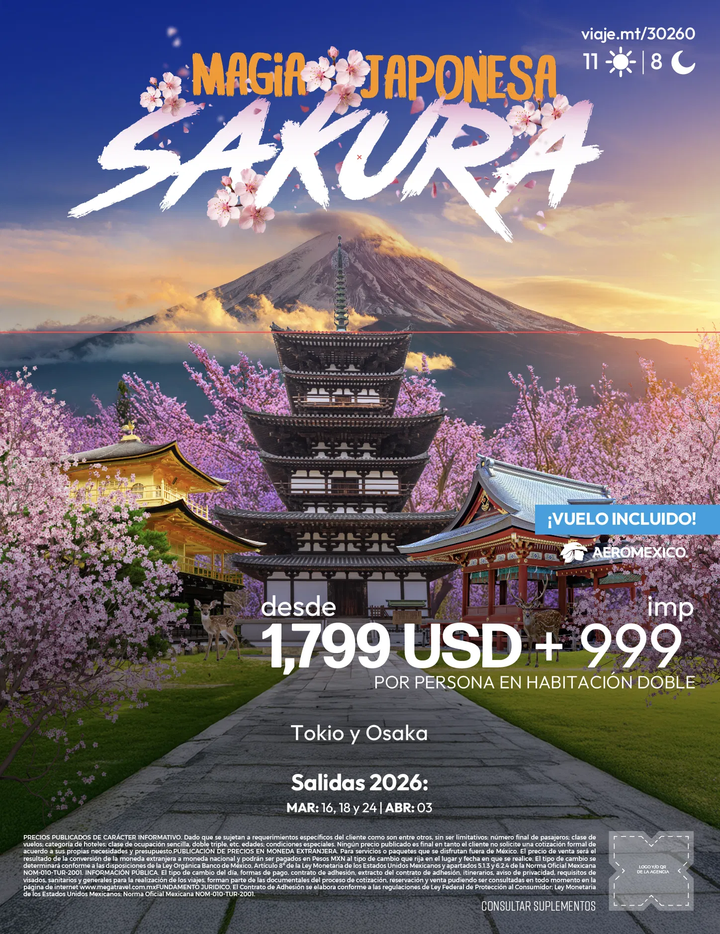 magia-japonesa-sakura-asia_68f26e37484dd