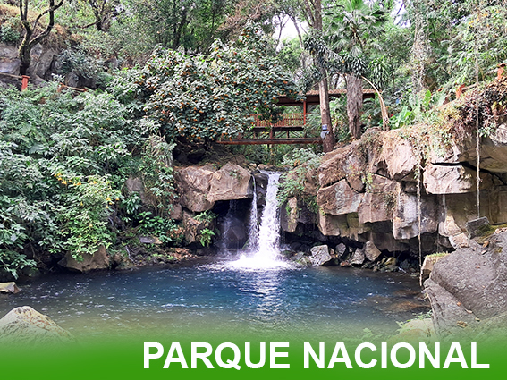 Vista panorámica del Parque Nacional Barranca del Cupatitzio en Uruapan, Michoacán - senderos empedrados, vegetación exuberante y puentes sobre el río de aguas turquesas