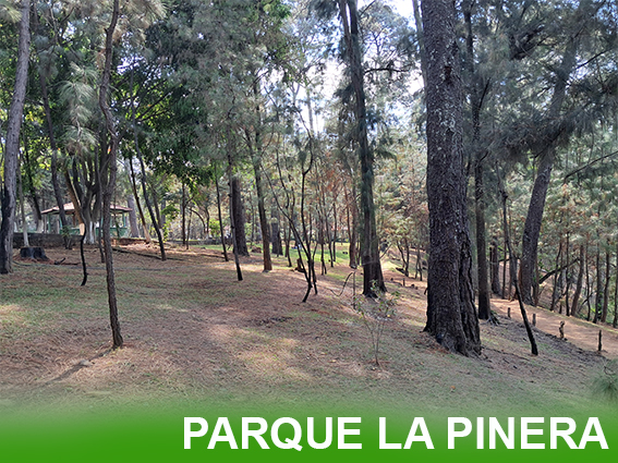 "Parque Recreativo La Pínera en Uruapan, Michoacán - espacio familiar emblemático con juegos clásicos y áreas de convivencia."