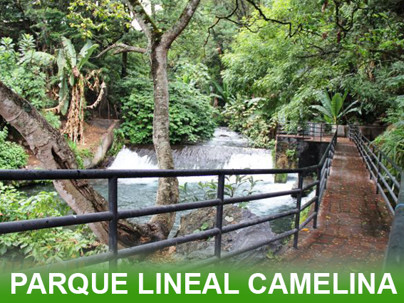 Parque Lineal La Camelina en Uruapan, Michoacán - sendero de piedra que corre paralelo al río Cupatitzio, rodeado de vegetación exuberante