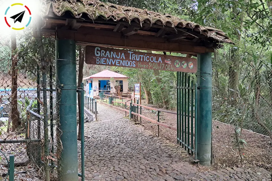 Criadero de truchas dentro del Parque Nacional Barranca del Cupatitzio en Uruapan - estanques con truchas arcoíris alimentadas por el agua pura del río Cupatitzio
