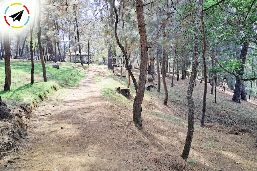 Parque La Pínera en Uruapan, Michoacán - espacio público familiar con kiosko central, bancas y áreas verdes para convivir.