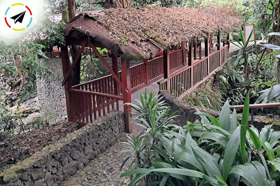 Puente de madera sobre el río Cupatitzio en el Parque Nacional Barranca del Cupatitzio de Uruapan - estructura rústica con pasamanos, rodeada de vegetación exuberante