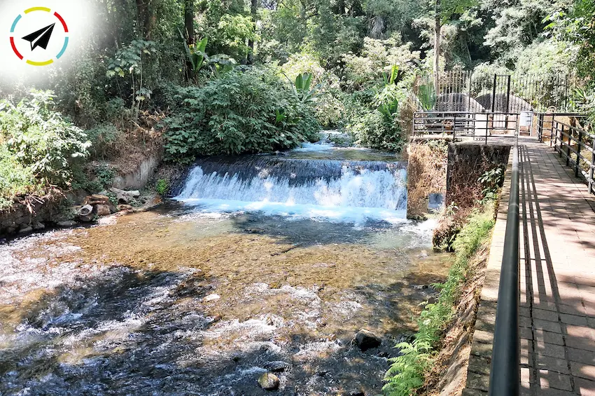 Río Cupatitzio fluyendo por el Parque Lineal La Camelina en Uruapan.