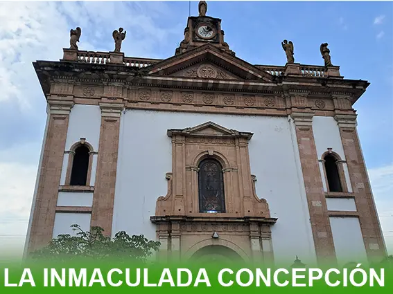 Detalles en cantera rosa de la fachada del Templo de la Inmaculada Concepción en Uruapan, con relieves tallados a mano en la entrada principal.