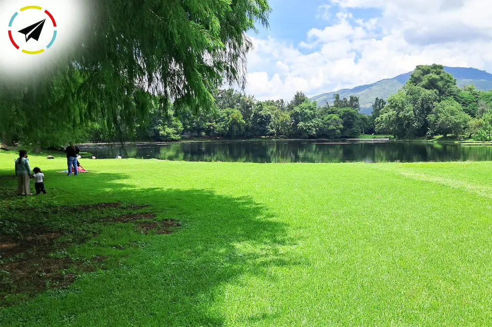 Vista panorámica de la Presa Santa Catarina en Uruapan, también conocida como Presa de Caltzontzin, un espejo de agua rodeado de vegetación donde habitan patos y gansos